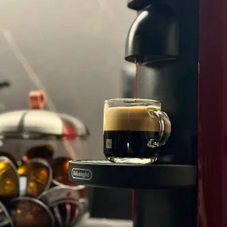 Dabripa Cozy Y Clarity *