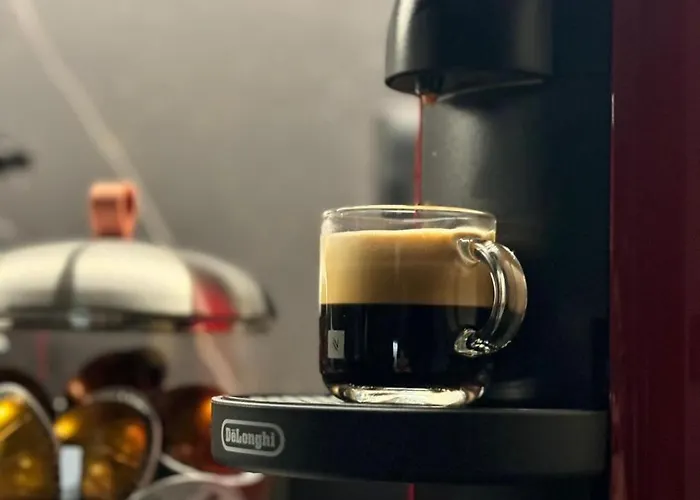 Dabripa Cozy Y Clarity *