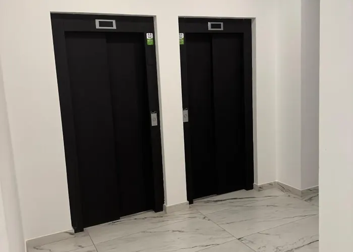 Dabripa Cozy Y Clarity